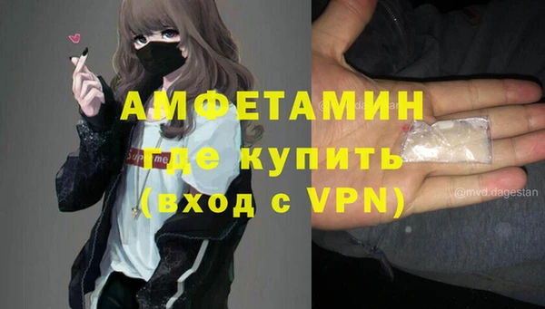 индика Дмитров