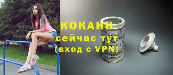 ПСИЛОЦИБИНОВЫЕ ГРИБЫ Гусь-Хрустальный