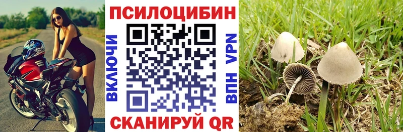 Псилоцибиновые грибы ЛСД  shop телеграм  Орехово-Зуево 